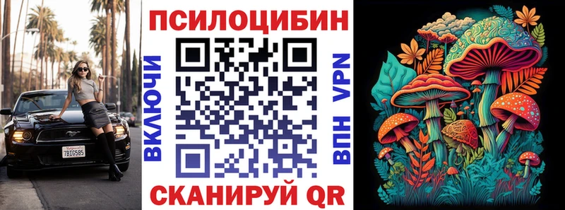 ОМГ ОМГ онион  Чегем  Псилоцибиновые грибы Psilocybine cubensis 